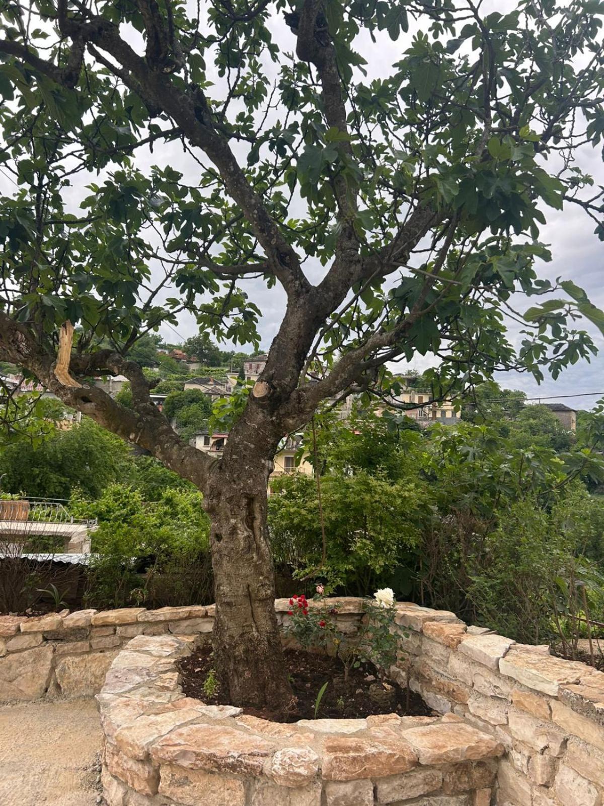 Guest House Lengo Gjirokaster Exterior photo